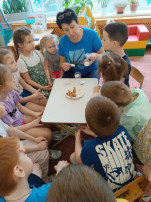 Огород на подоконнике Огород на подоконнике.